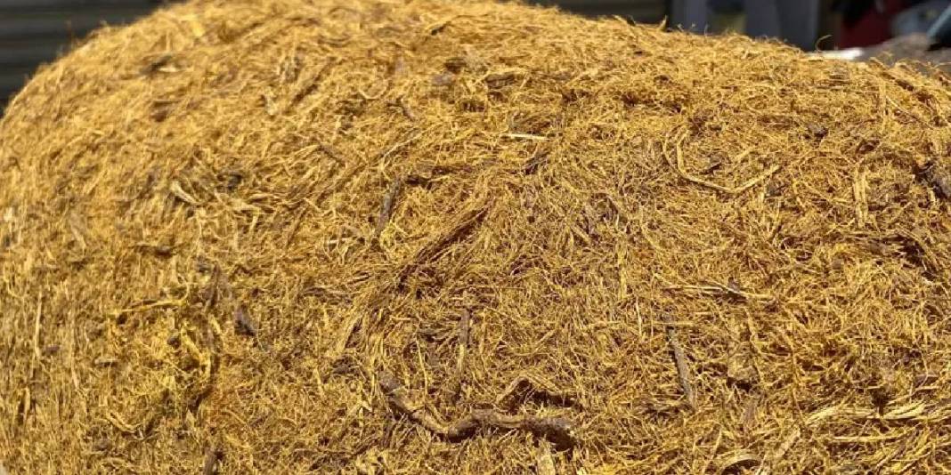 Yazın çok seviliyordu Ramazan’da da talep arttı: Üreticilerin ek mesaisi başladı 2